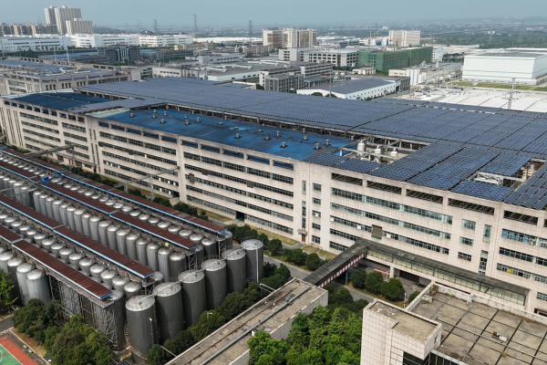 Solar for Business